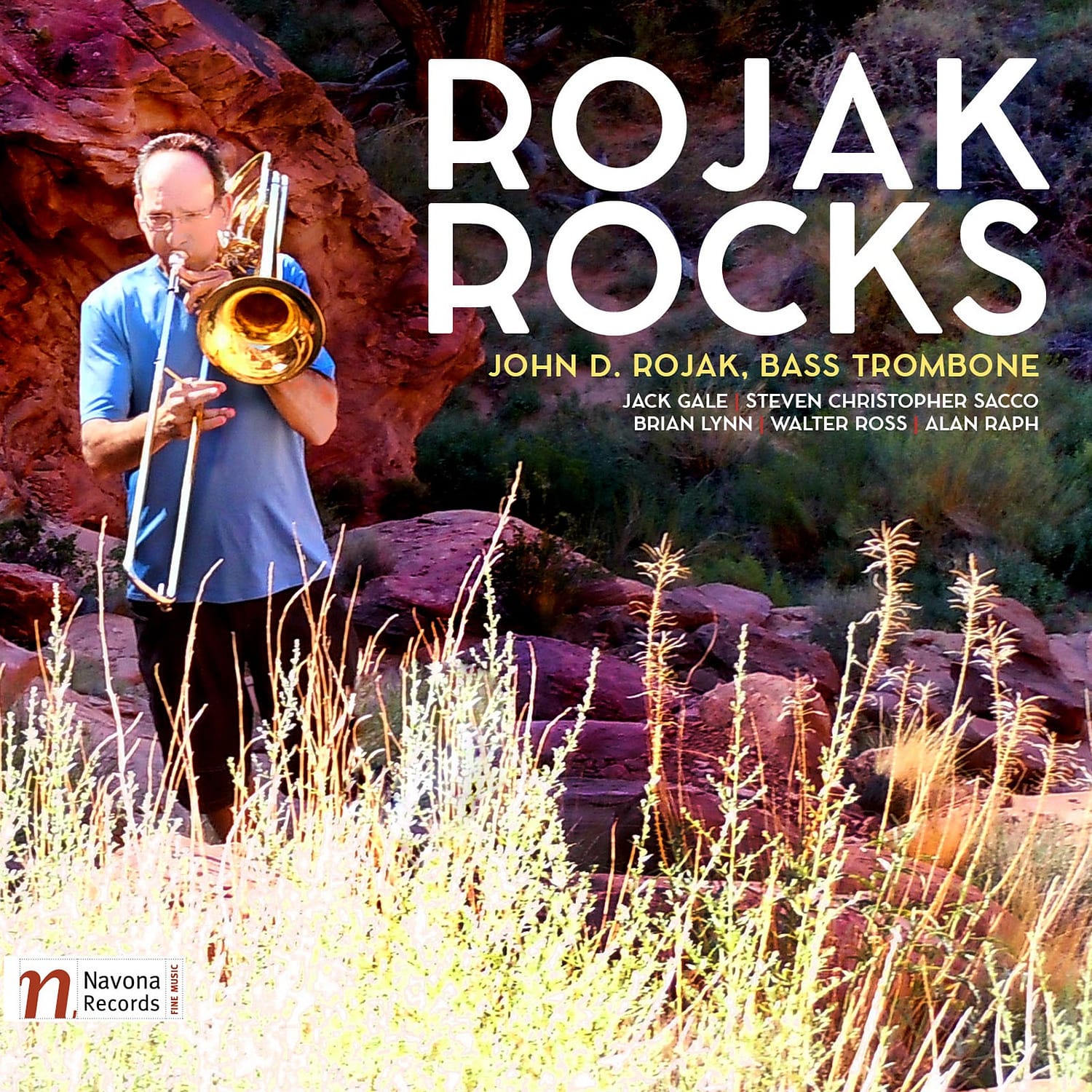 ROJAK ROCKS - album cover